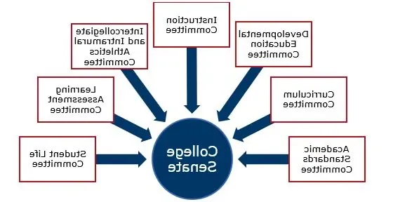 College Senate Standing Committees include Academic Standards Committee, Curriculum Committee, Developmental Education Committee, Instruction Committee, Intercollegiate and Intramural Athletics Committee, Learning Assessment Committee and Student Life Committee.